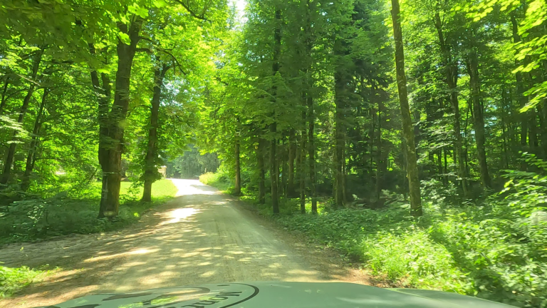 Sturen, inschatten en genieten tijdens de laatste kilometers in Slovenië - gravelweg rijden in de bergen tijdens de laatste kilometers in Slovenië