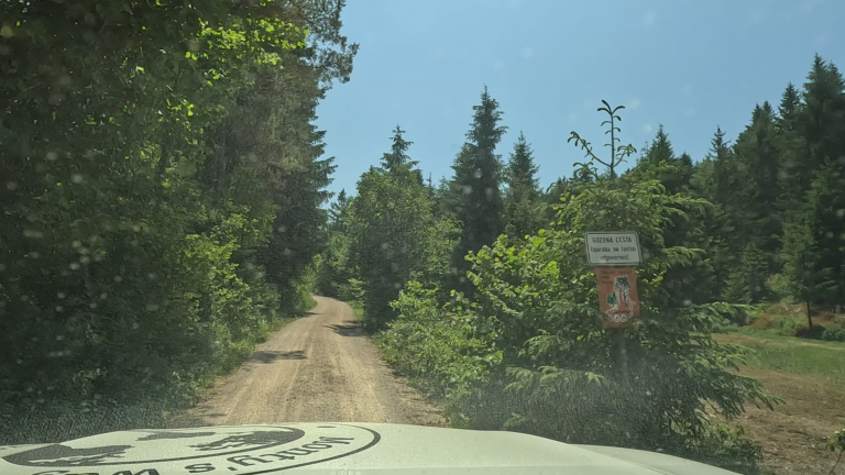 rustige natuur en bossen in de laatste kilometers in Slovenië