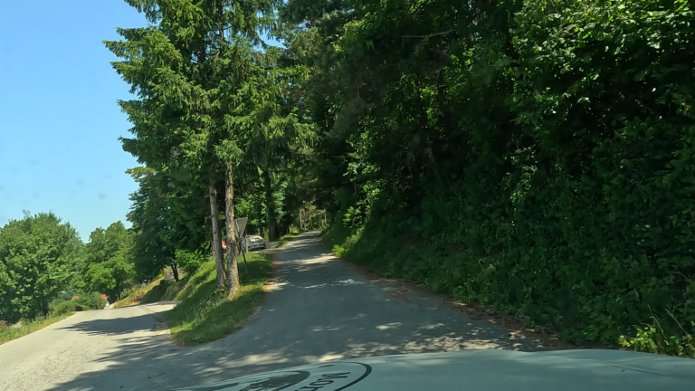 rustige natuur en bossen in de laatste kilometers in Slovenië