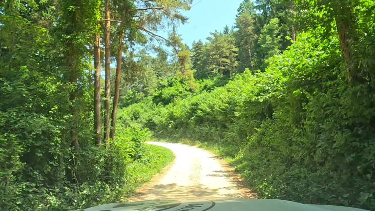 rustige natuur en bossen in de laatste kilometers in Slovenië