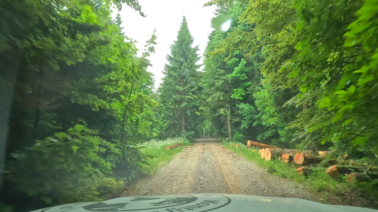 Avonturen in Kroatië beginnen: gravel, storm en grotten starten met een smalle onverharde bergweg.
