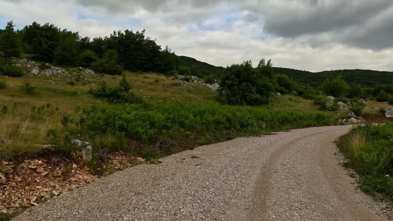 2026-02-22 WANDELING2