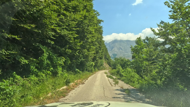 Overwoekerde asfaltweg in Sutjeska National Park op weg naar Valley of the Heroes