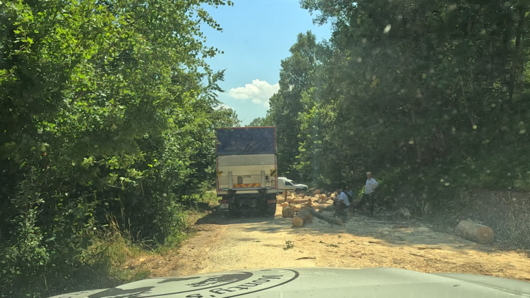 Werkzaamheden langs de weg met gekapte bomen