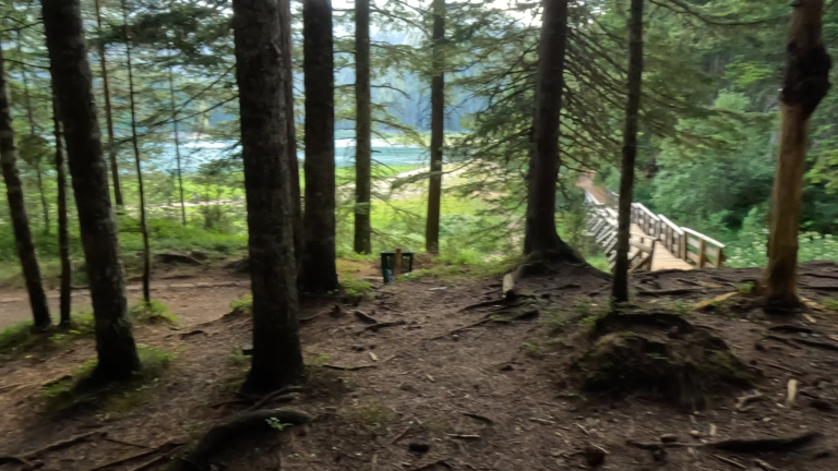 Door de bomen heen wordt Black Lake in Durmitor National park zichtbaar.