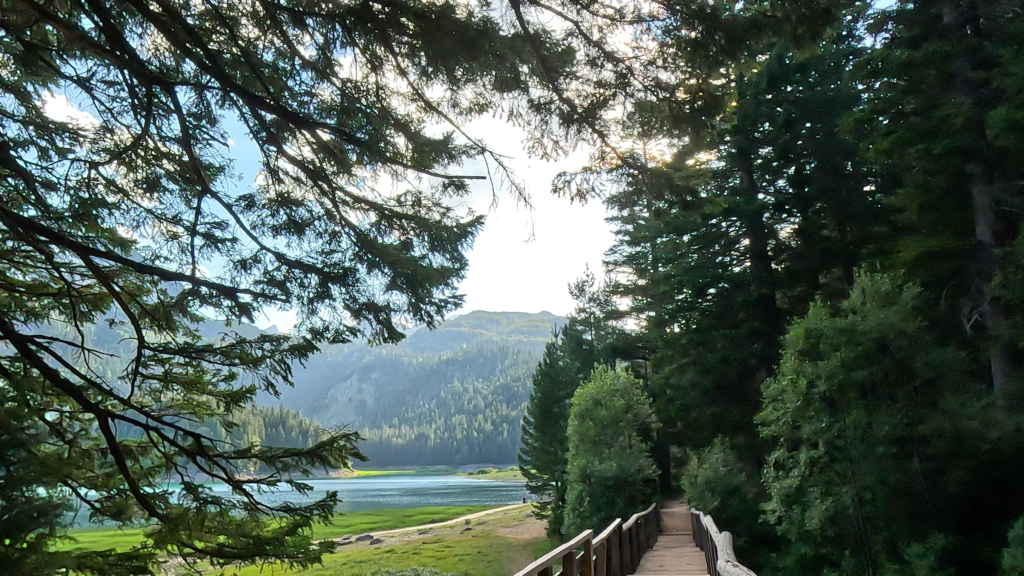 Vanaf een houten brug kijk ik uit over Black Lake tijdens van Black Lake tot Lake Shkodër.