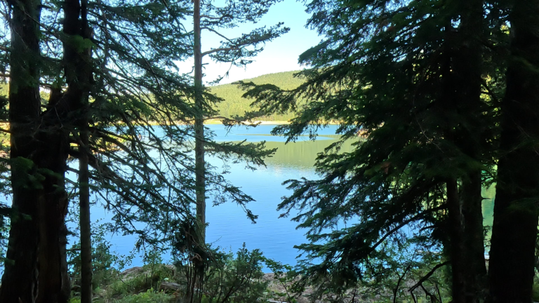 Door de bomen zie ik Black Lake, Montenegro
