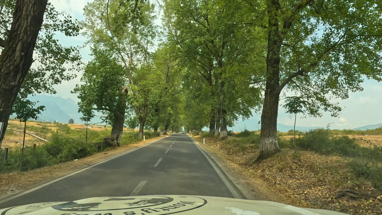 Tweebaansweg, SH22, met bomen aan beide kanten en bergen op de achtergrond.