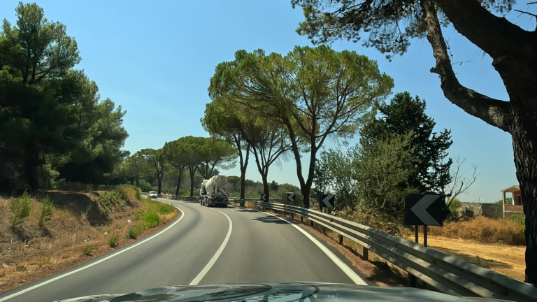 Tijdens de rit naar Matera gaan camper Monty en ik over landelijke wegen met het herkenbare beeld van de typische Italiaanse parasoldennen