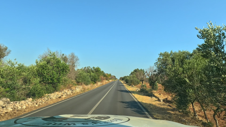 De route van Brindisi naar Matera gaat over een smalle weg langs olijfbomen ergens tussen Brindisi en San Vito met lage stenen muur en blauwe lucht
