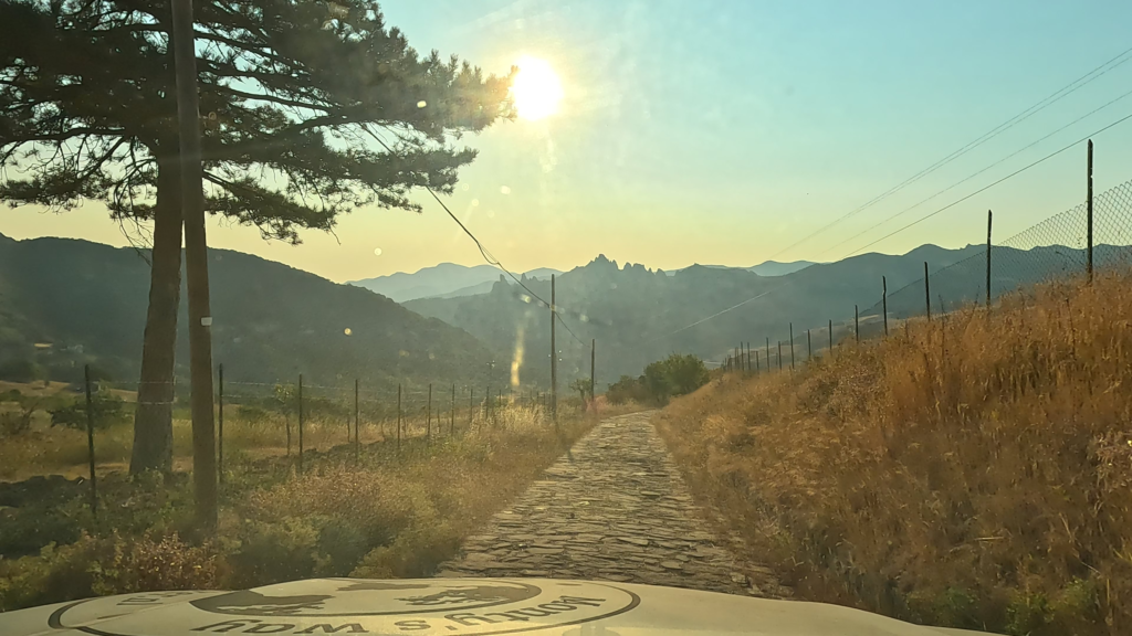 De rit richting Laceno begint bij P4N Castelmezzano - Unnamed Road over een smal selciato tussen droog gras en bomen.