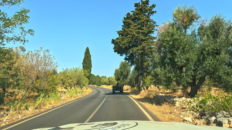De route van Brindisi naar Matera zie ik een tractor op smalle weg, ergens na San Vito, met olijfbomen, cipressen en droge bermen langs de route
