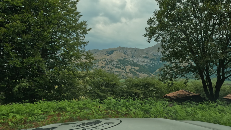 Een mooie route door Campania voert over de SP 181, waar achter een rij varens bergen met kale rotsen zichtbaar zijn.